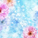 ���� Amina, ���� - ��������� 4 ������ 2015 � ������ ���� ����������