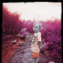 ���� ĳ���, ��������, 34 ���� - ��������� 24 ������� 2014