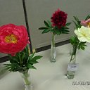 ���� �����, �����-��������� - ��������� 7 ������� 2015 � ������ ���� ����������
