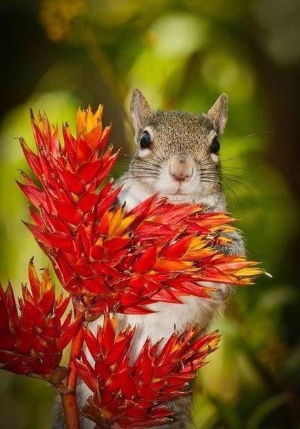    - 28  2015  19:04 - 4