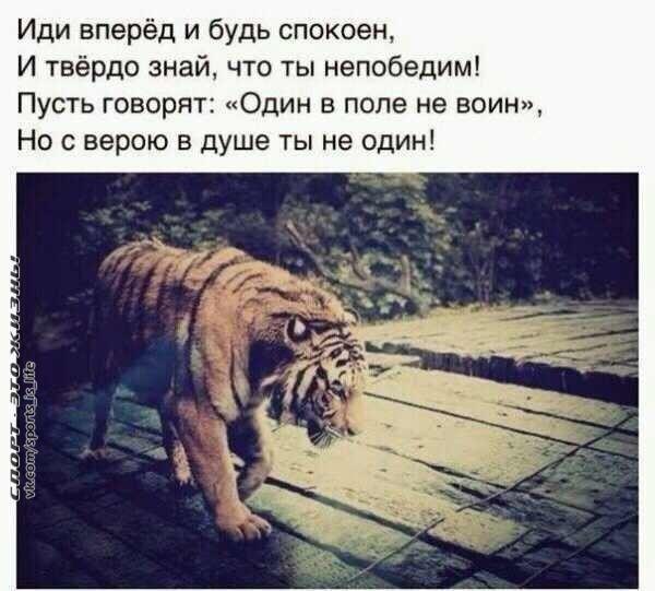  -   - 5  2015  13:42