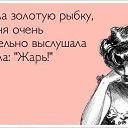 ���� �����, �����������, 53 ���� - ��������� 15 ������ 2015 � ������ ������ ��������