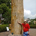 ��� �������� ������ ������� ������ 1 000 000��� �� ������� ���� ����������