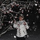 ���� �����, ������, 51 ��� - ��������� 31 ������� 2014 � ������ ���� ����������