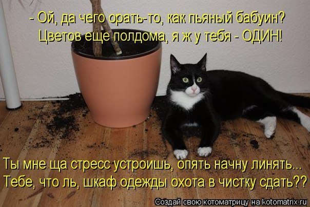       - 16  2015  11:03