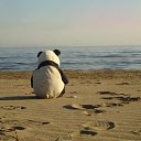 ���� ��������, �����-���������, 37 ��� - ��������� 17 ����� 2015 � ������ ���� ����������