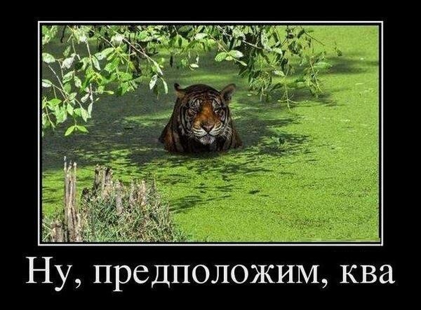 �������� ���� - 28 ����� 2015 � 11:01