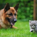 ���� ������, �������, 49 ��� - ��������� 22 ����� 2015 � ������ ���� ����������