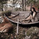 ���� �����, �����-���������, 37 ��� - ��������� 7 ������� 2015 � ������ ������ ��������