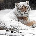 ���� �����, ������, 51 ��� - ��������� 6 ������ 2015 � ������ �����ۻ