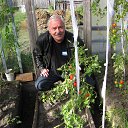 � �������������