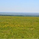 ����������� �.�������� �� ������� ��� �����������