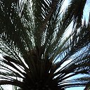 ���� �������, ������ - ��������� 27 ����� 2015 � ������ ���������