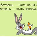 ���� ���������, ����� - ��������� 15 ������ 2015 � ������ ������ ��������