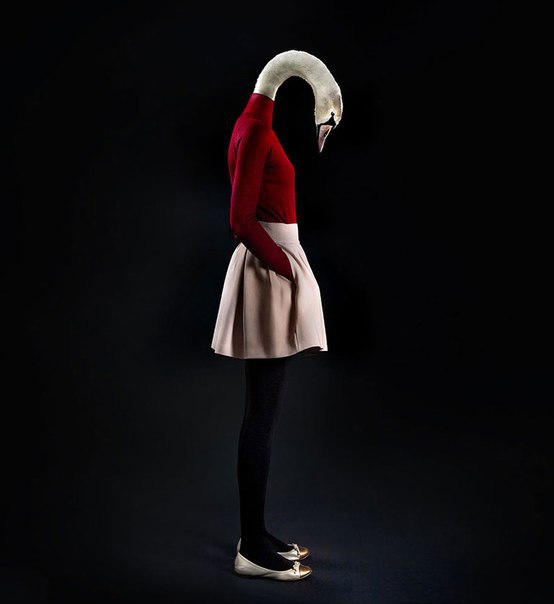      (Miguel Vallinas)     ... - 8