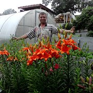 ������, 59 ���, �����������