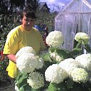 ���� ���������, �������� - ��������� 23 ������� 2015 � ������ ���� ����������