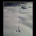 ���� ���������, ����, 48 ��� - ��������� 1 ����� 2015 � ������ ������� ����