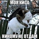 ���� Kolya, ����, 52 ���� - ��������� 18 ������� 2014 � ������ ���� ����������