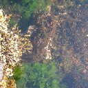 ���� �������, ���������, 52 ���� - ��������� 3 ������ 2015 � ������ ������ ��������