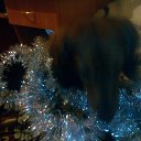 ���� Mrs, ���� - ��������� 31 ������� 2014 � ������ ������ ��������