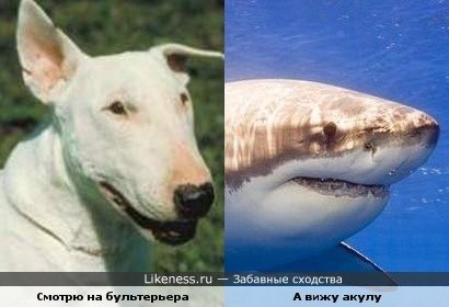  . - 31  2015  02:22 - 2