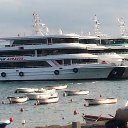 ���� Dion, ������, 55 ��� - ��������� 30 ������ 2015 � ������ ������ ��������