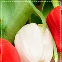 ���� �����, �����, 58 ��� - ��������� 4 ������� 2015 � ������ ������..������ ���������!�