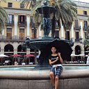 ���� �����, �����, 41 ��� - ��������� 22 ������� 2014 � ������ ���� ����������