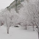 ���� �������, ����, 68 ��� - ��������� 3 ������ 2015 � ������ �����