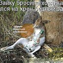 ���� Ivan, �����, 40 ��� - ��������� 17 ������� 2014 � ������ �....�