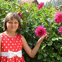 ����-�����! �� ������� ���� ����������