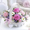 ���� ���������, �������, 80 ��� - ��������� 18 ������� 2015 � ������ ������ ��������