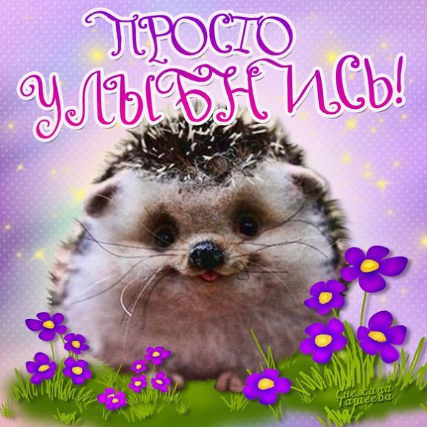 ������ ���� -��� �����... �������� �, ��� �������... ���� ������ ���� - �������! ��� �� ����� ���� ...