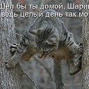 ���� ����, ��������, 59 ��� - ��������� 3 ����� 2015 � ������ ������ ��������