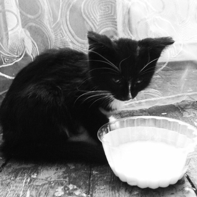 �� ����� �������� ��������))) ������� � ����� ���������� �������. �� ������ ����� ������ �������. ...