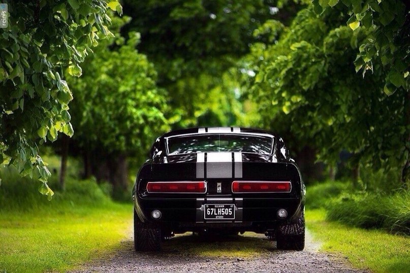 Ford Mustang - 3