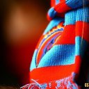  Vladimir,  -  17  2015    