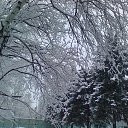 ���� Yogdao, ������, 66 ��� - ��������� 12 ������ 2015 � ������ ���� ����������
