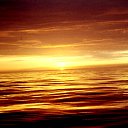 ���� ���������, ������ - ��������� 14 ������� 2014 � ������ ���� ����������