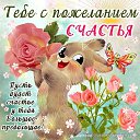 ���� ���, ��������� - ��������� 1 ����� 2015 � ������ ������ ��������