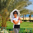  , , 53  -  13  2015     2015