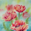 ���� �����, ������ - ��������� 18 ������ 2015