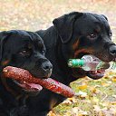 �����?-����� �� ��� � ���... �� ������� ���� ����������