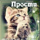 ���� �����, ������������ - ��������� 22 ������� 2015 � ������ ������ ��������