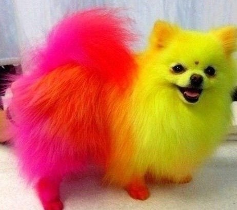 ��� ������ �����