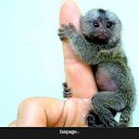 ���� �����, ��������� - ��������� 24 ������� 2015 � ������ ������ ��������