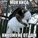 ���� ���������, ����, 48 ��� - ��������� 9 ������ 2015 � ������ ������ ��������