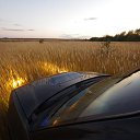 ���� ������, ������, 42 ���� - ��������� 6 ����� 2015 � ������ �������