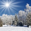 ���� ���, ������, 71 ��� - ��������� 24 ������ 2015 � ������ ���� ����������